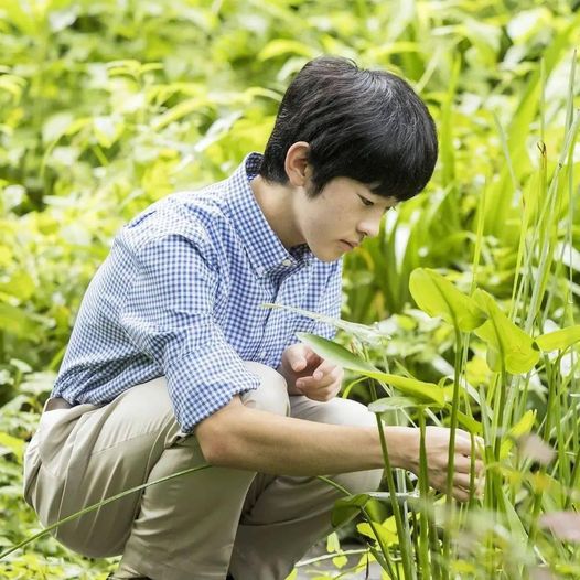 Prince Hisahito: The Future of Japan’s Imperial Legacy